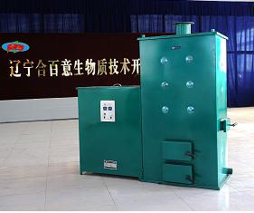 model CLSA biomass boiler