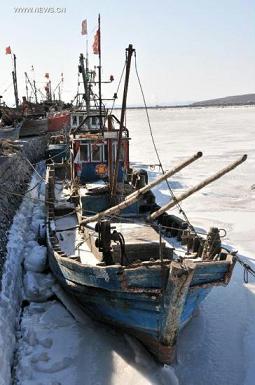 Sea ice blue alert issued in Dalian, NE China's Liaoning